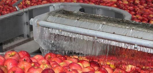 urządzenie do mycia jabłek